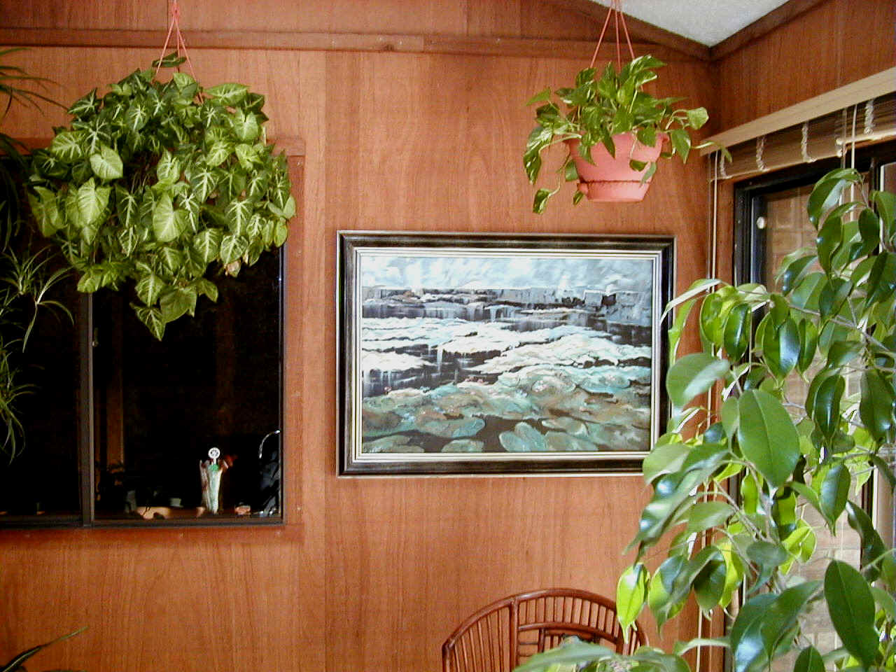 Frozen-Lillies-sunroom-flash.jpg (151083 bytes)